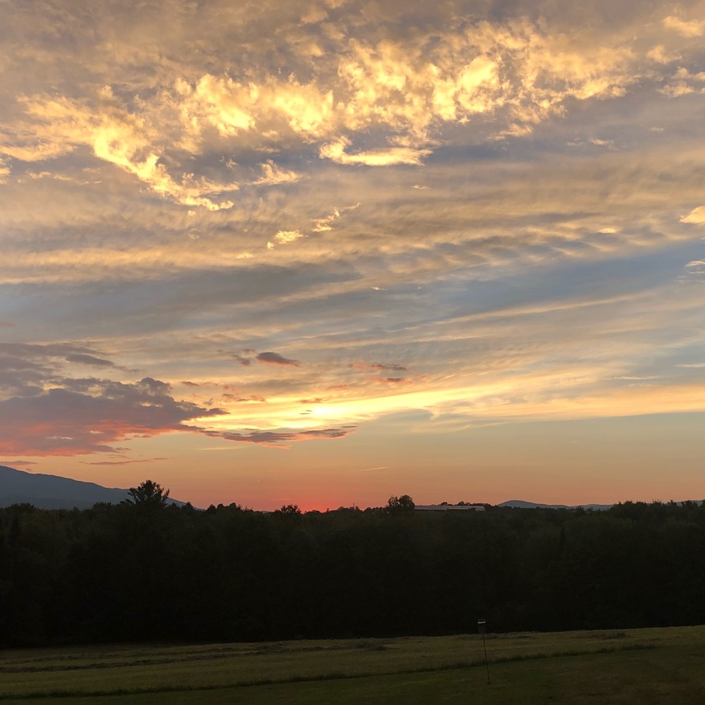 Meet your Posher, Desiree